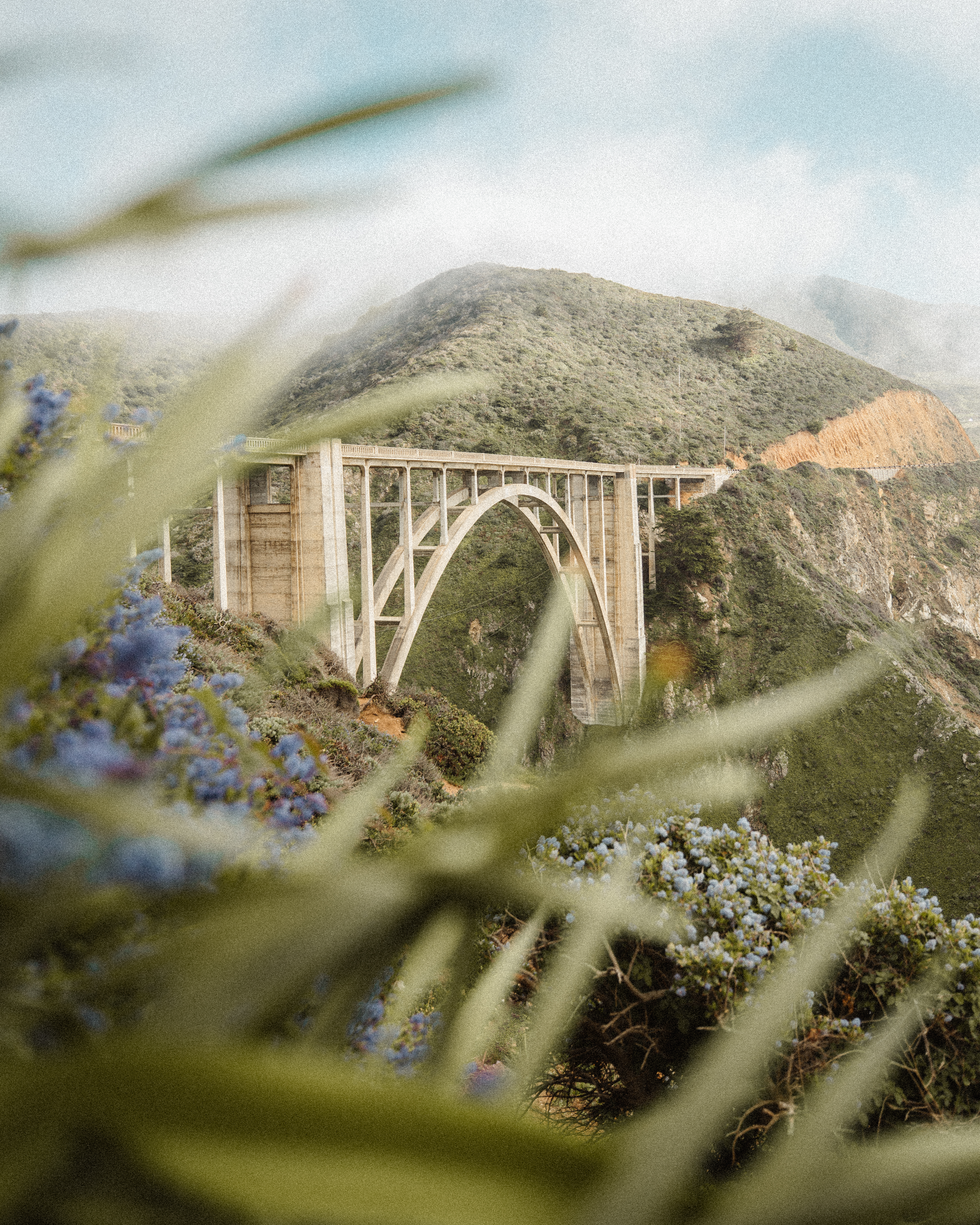 Big Sur Patron Edition
