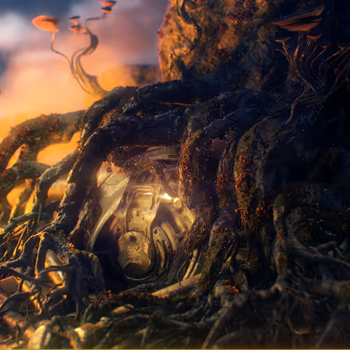 Life Vault