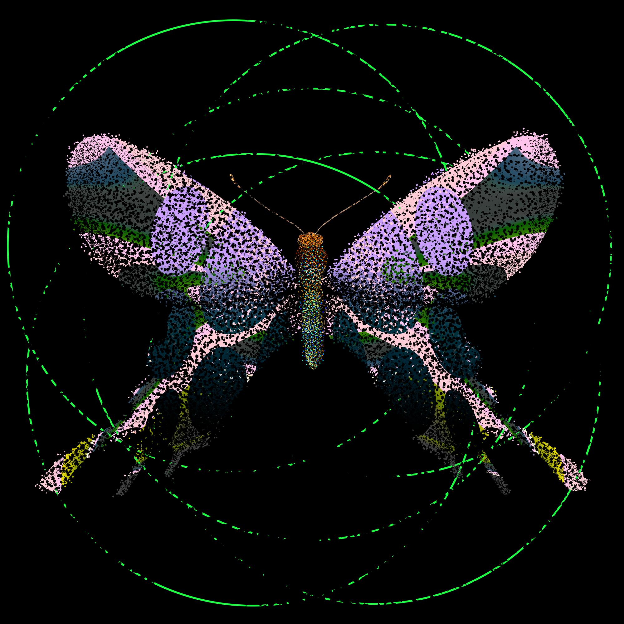 Monarch #250