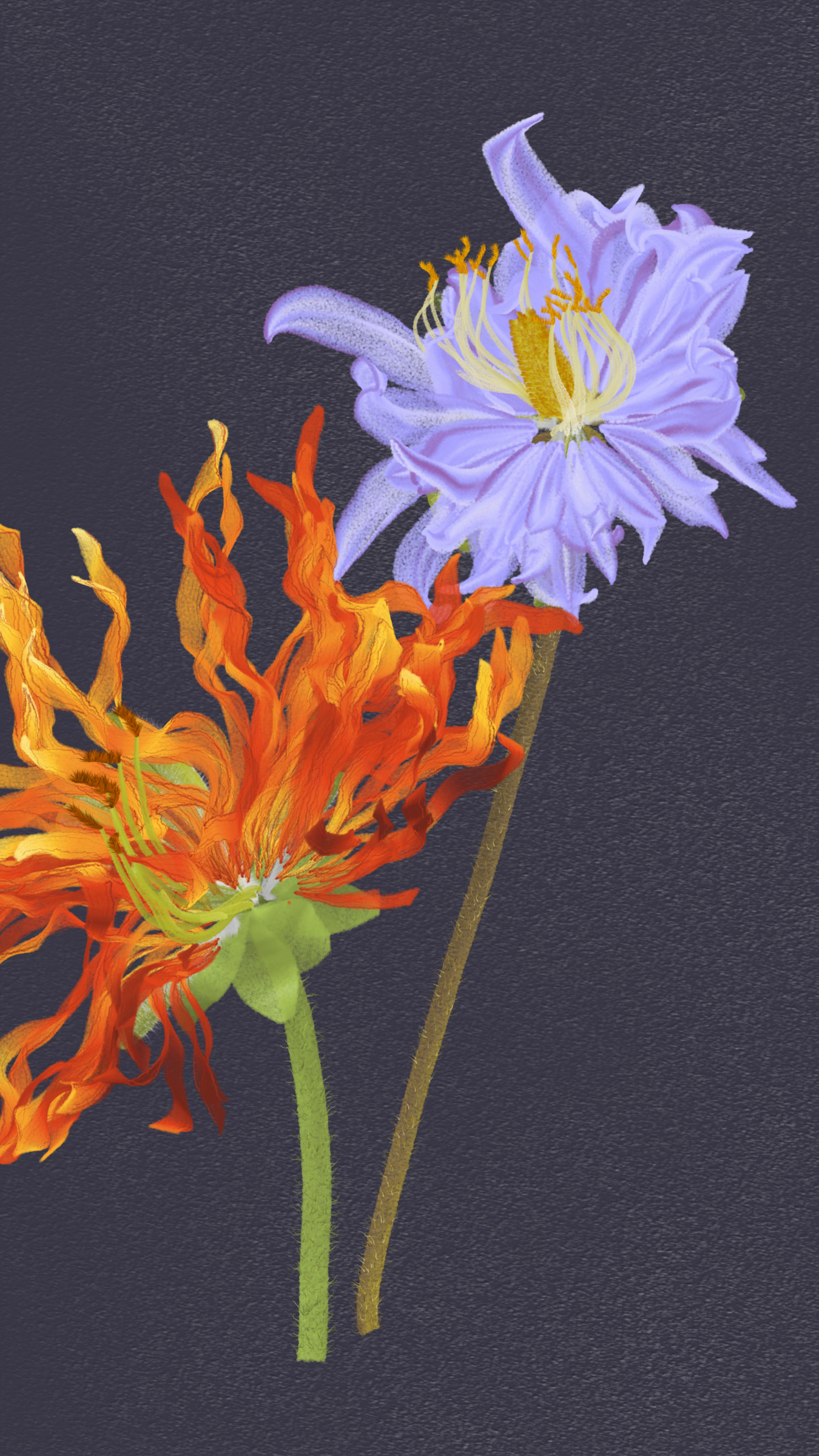 Delirium Blooms #31