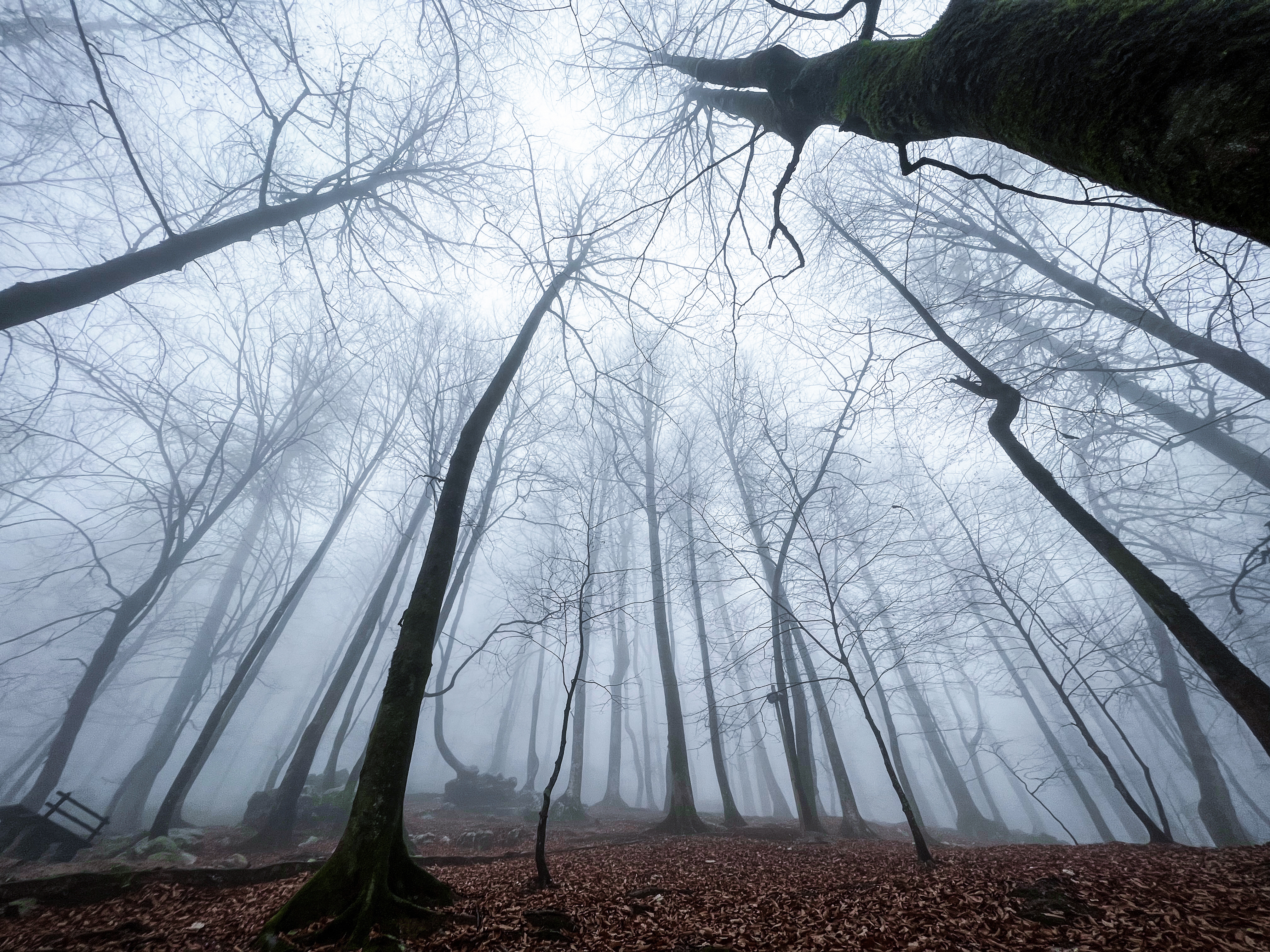 Silence