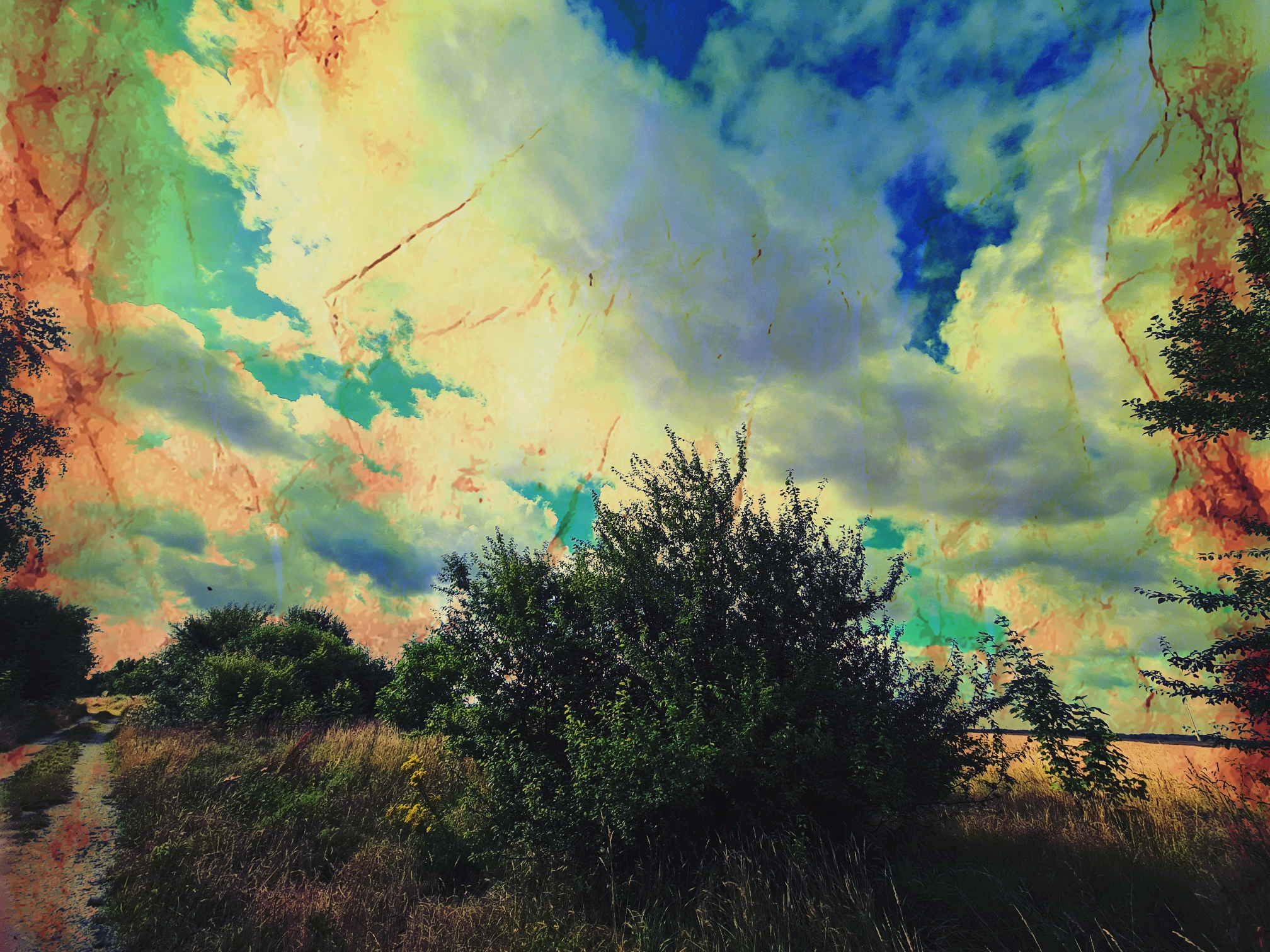 Sky