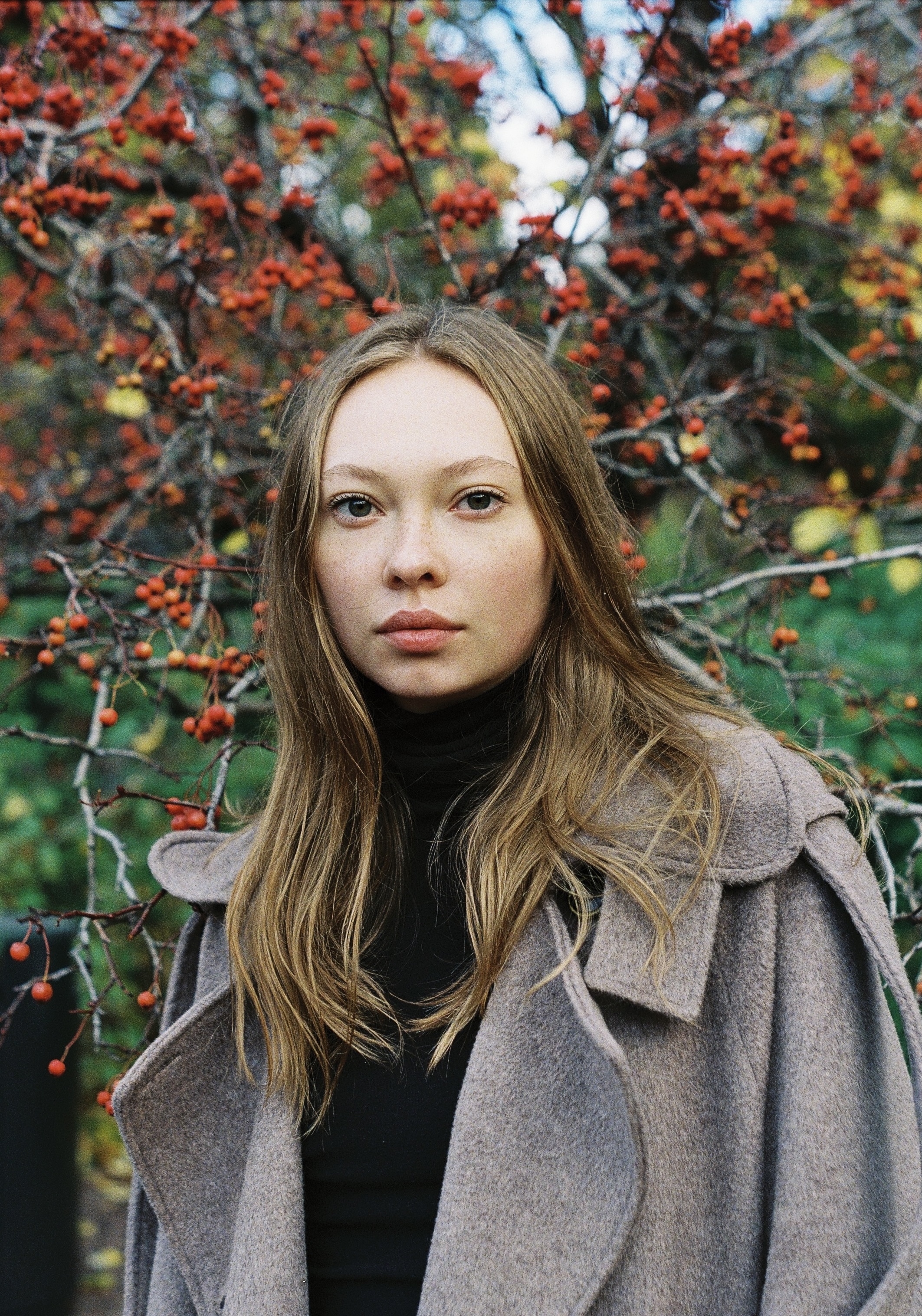 My Autumn Berry