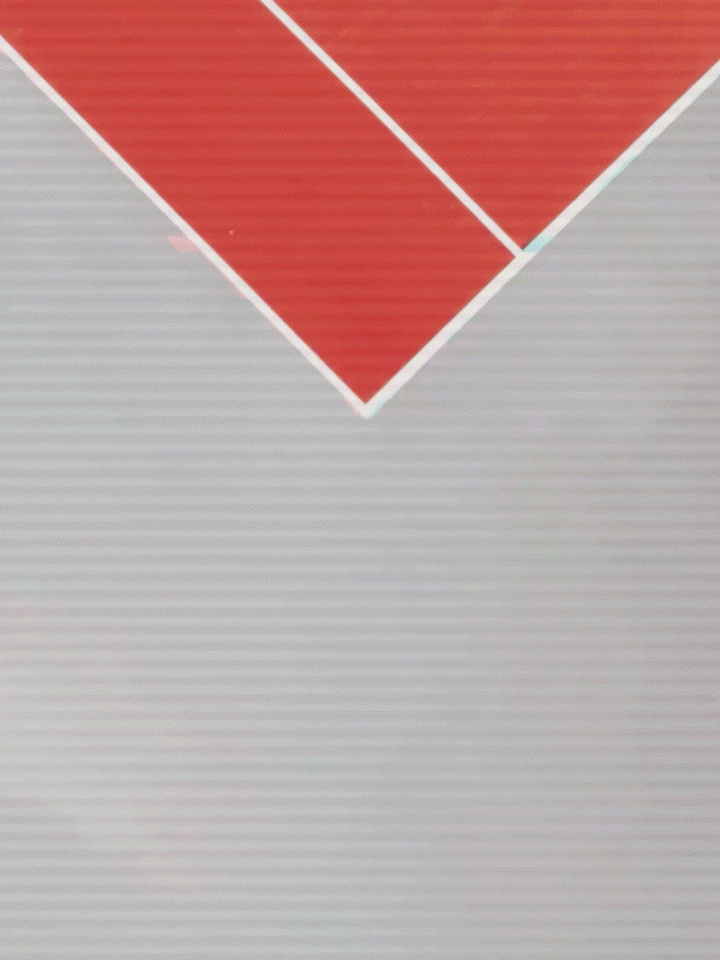 D҉I҉S҉O҉R҉D҉E҉R҉ I҉N҉ T҉H҉E҉ C҉O҉U҉R҉T҉.     iii