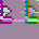 Licked Toad #2065