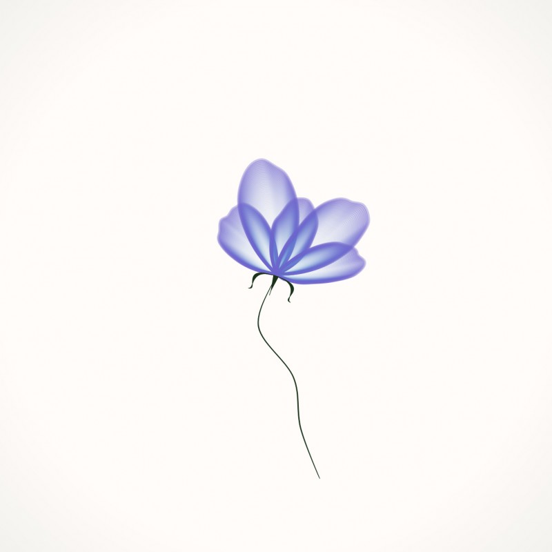 Translucent flower #46