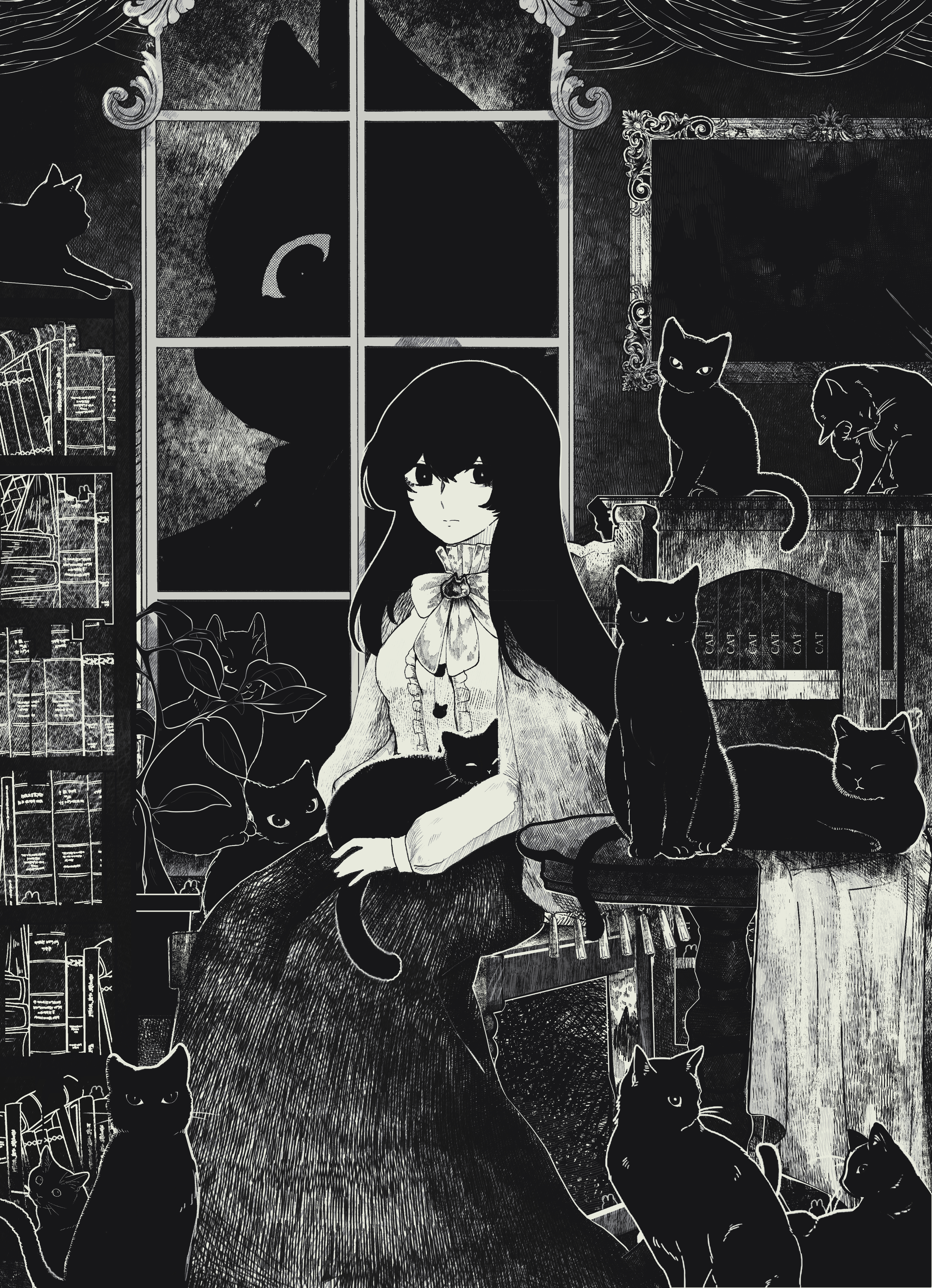 The Black Cat