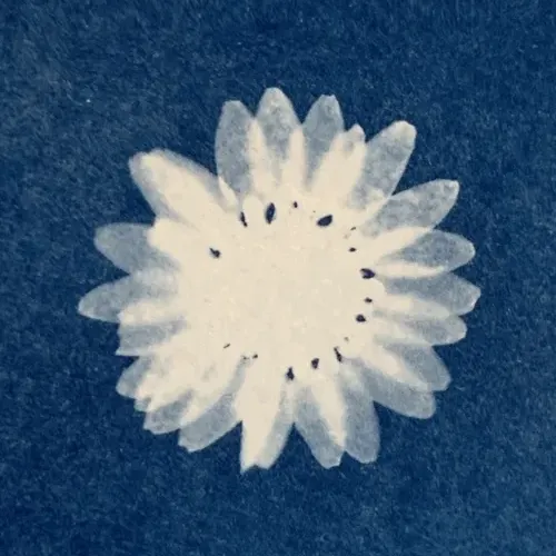 Flower #2