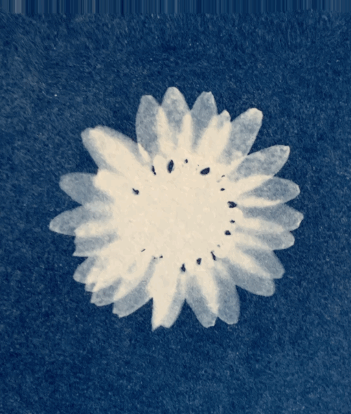 Flower #2
