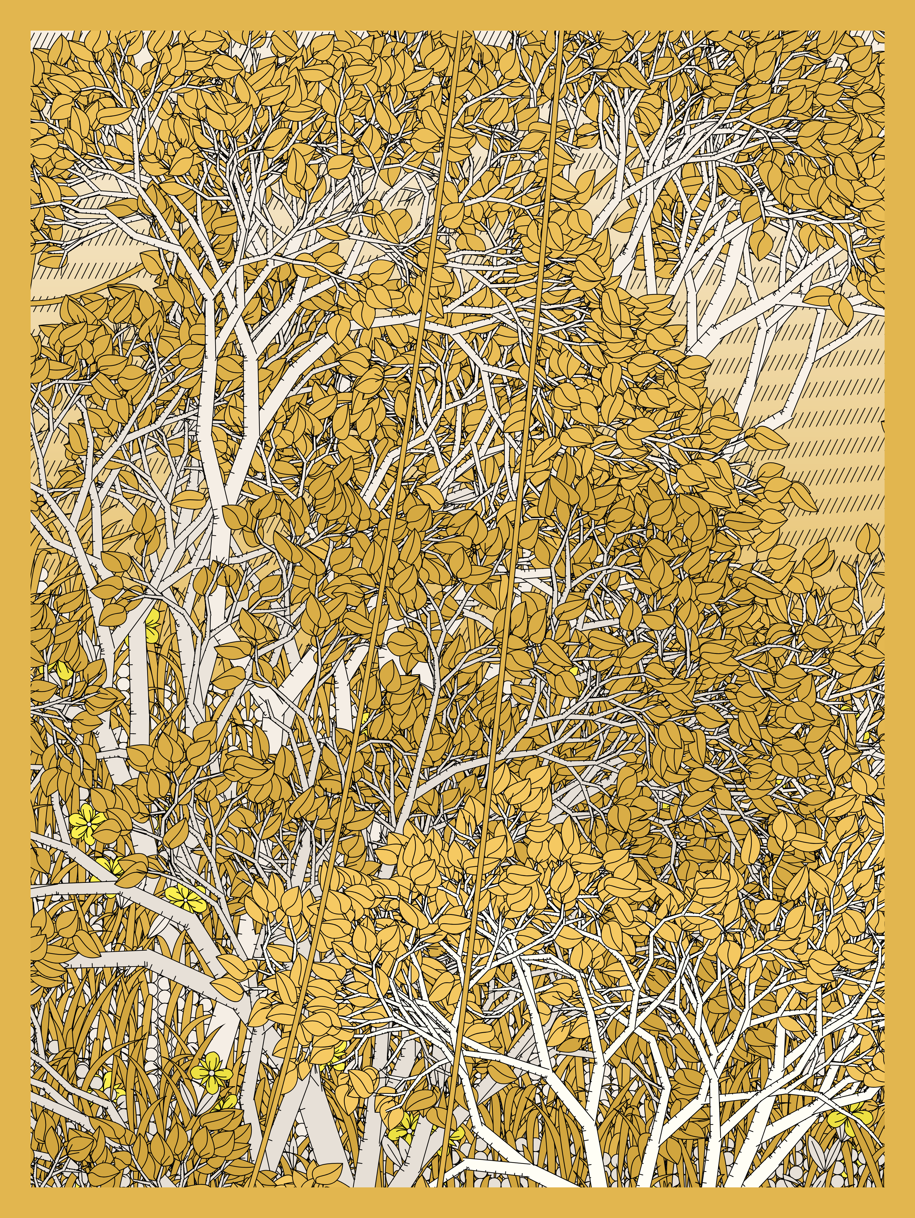 Entangled #152