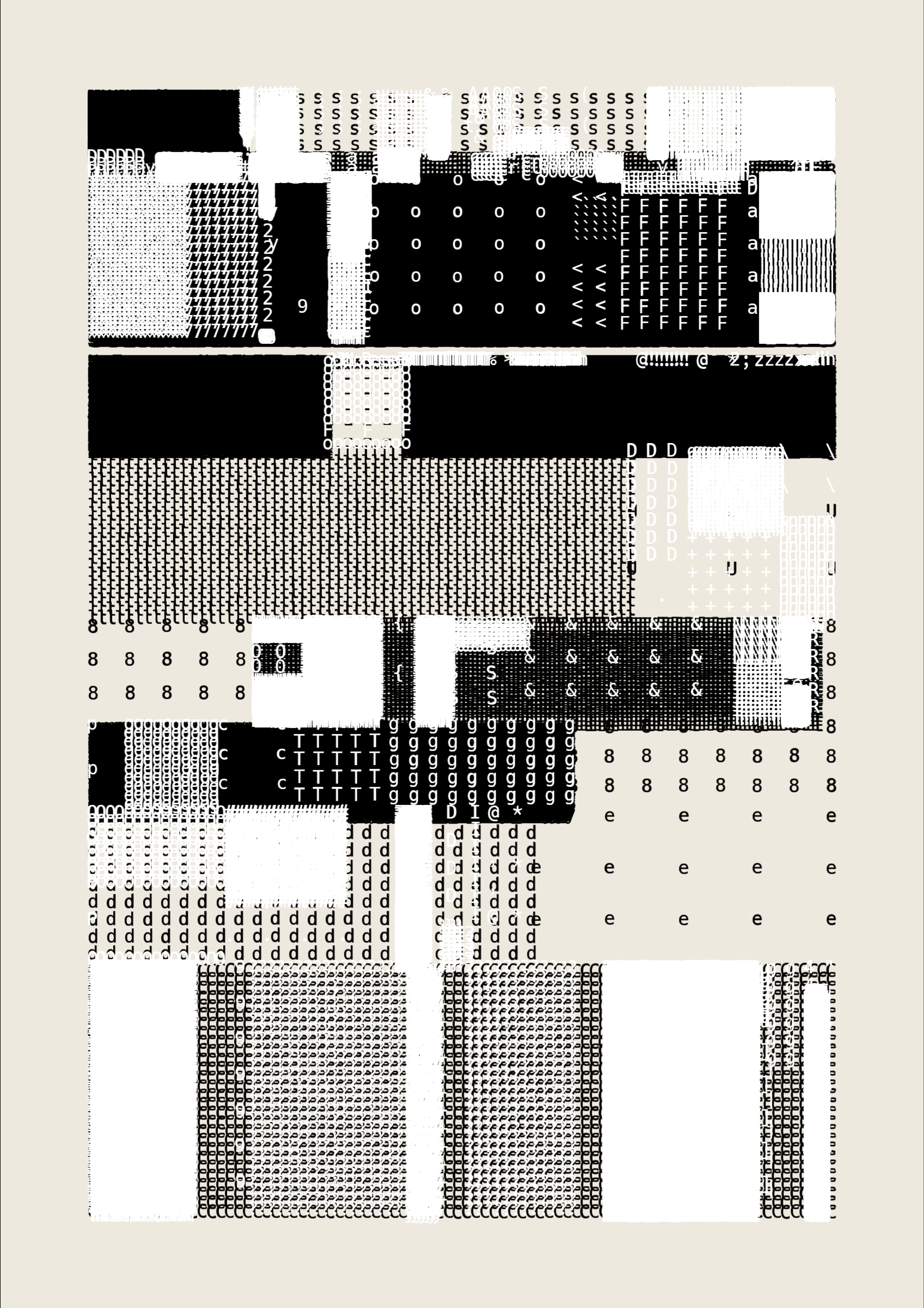 FOLIO #19