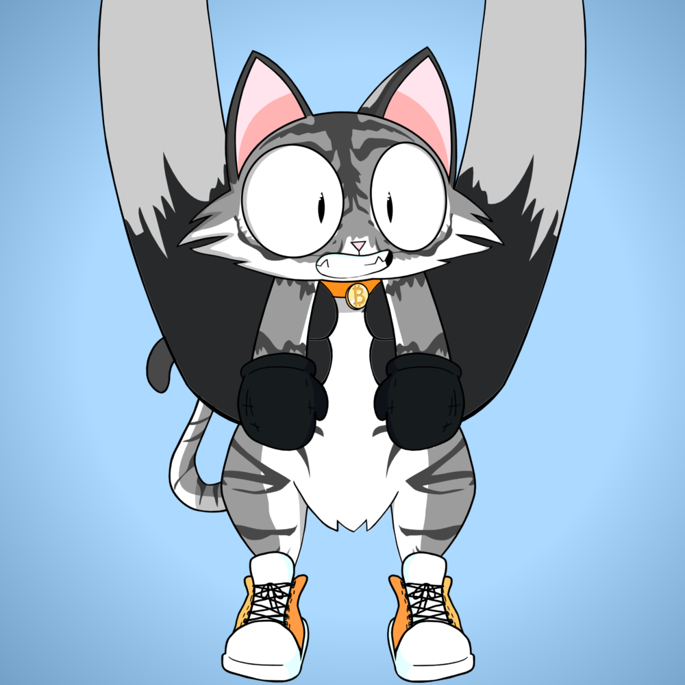 Kitten #1273