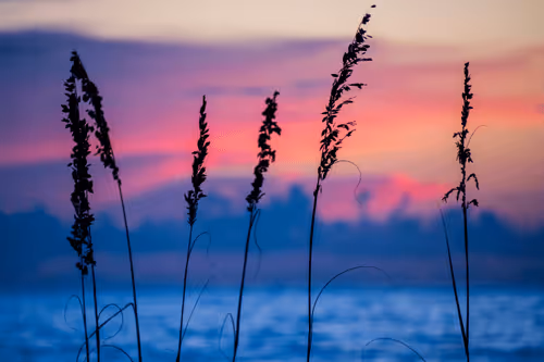 Anna Maria Evening