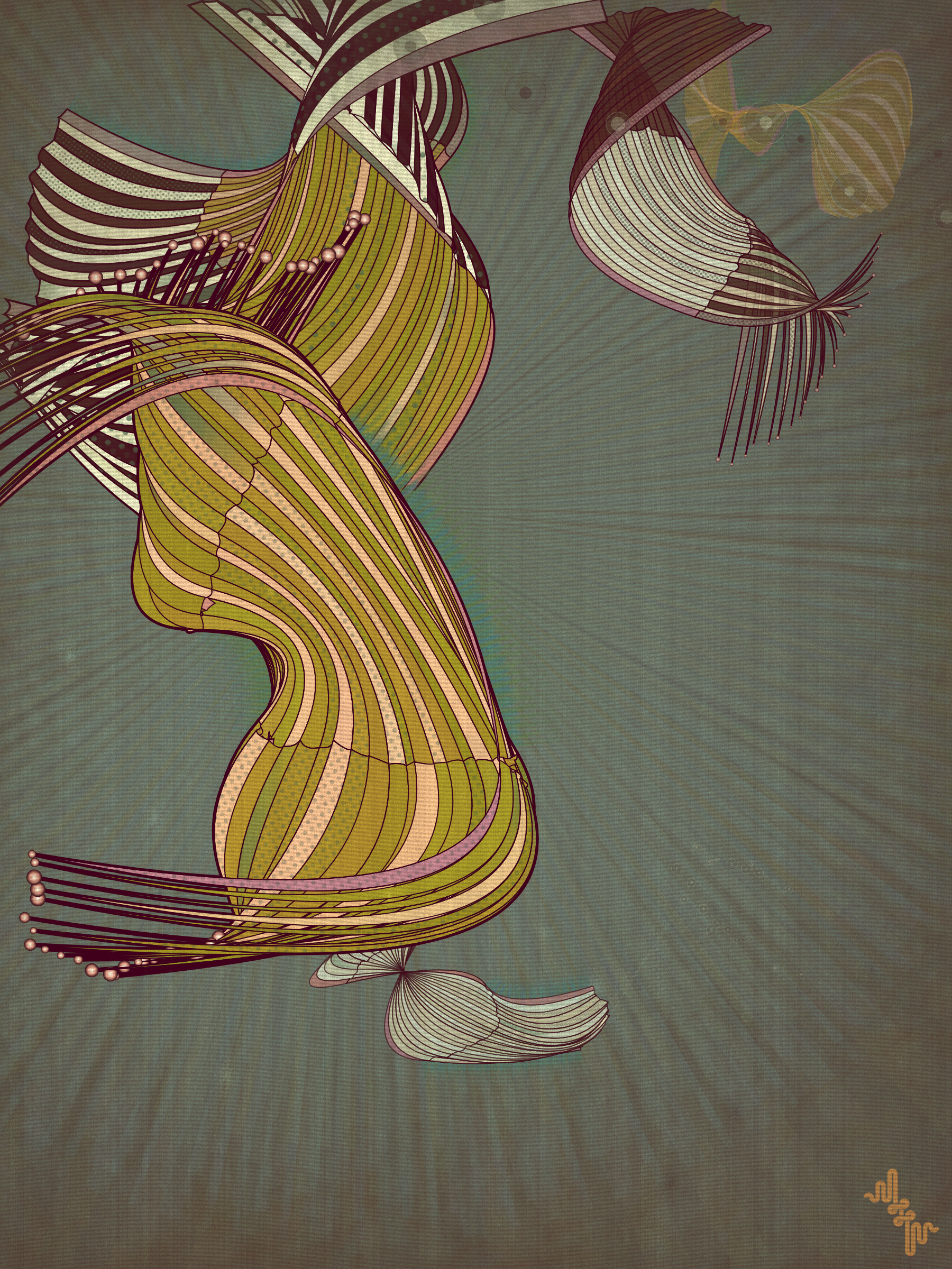Velum #1