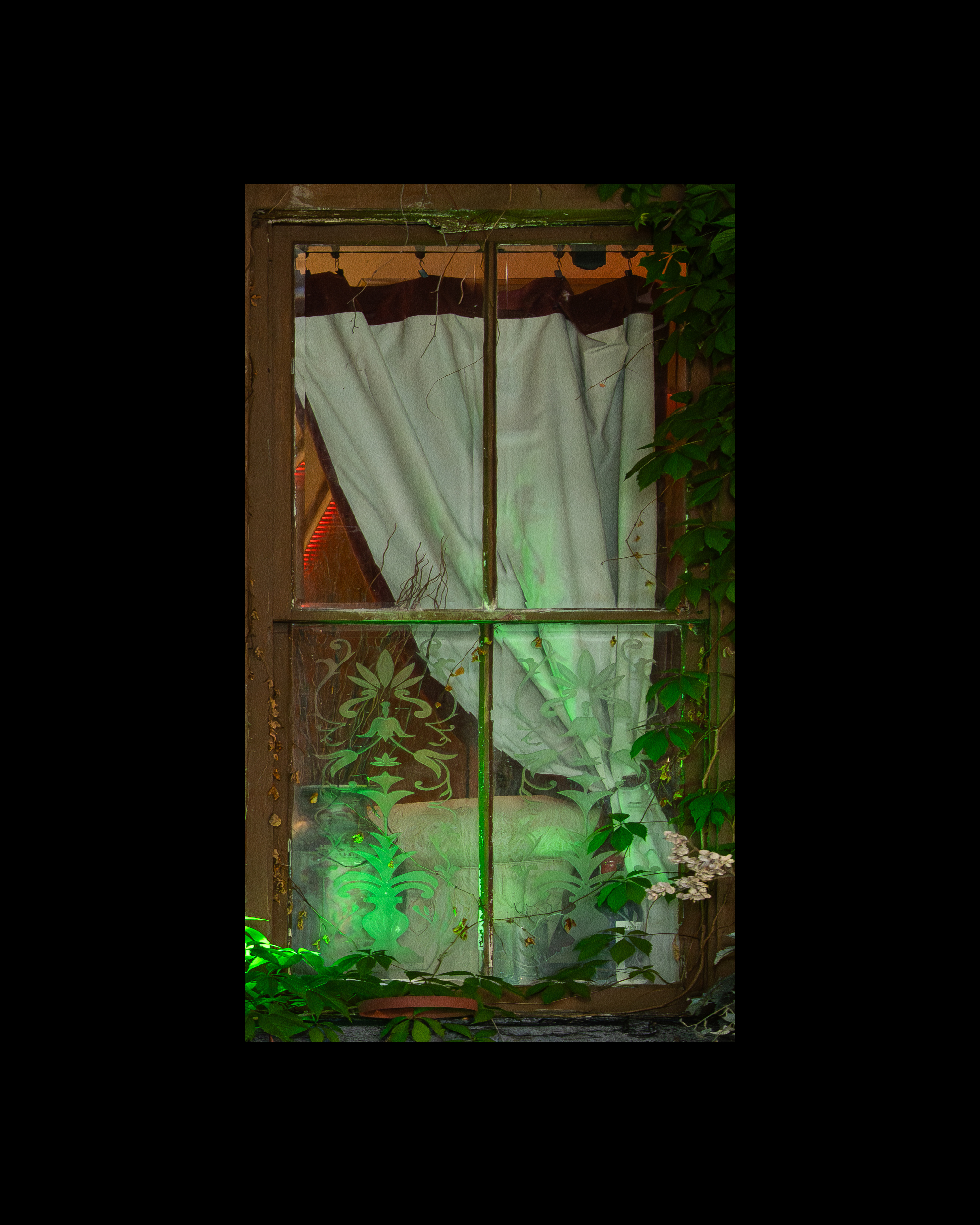 WINDOW 283