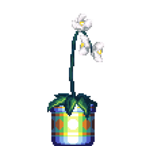 White Orchid in Large Premium Pattern pot