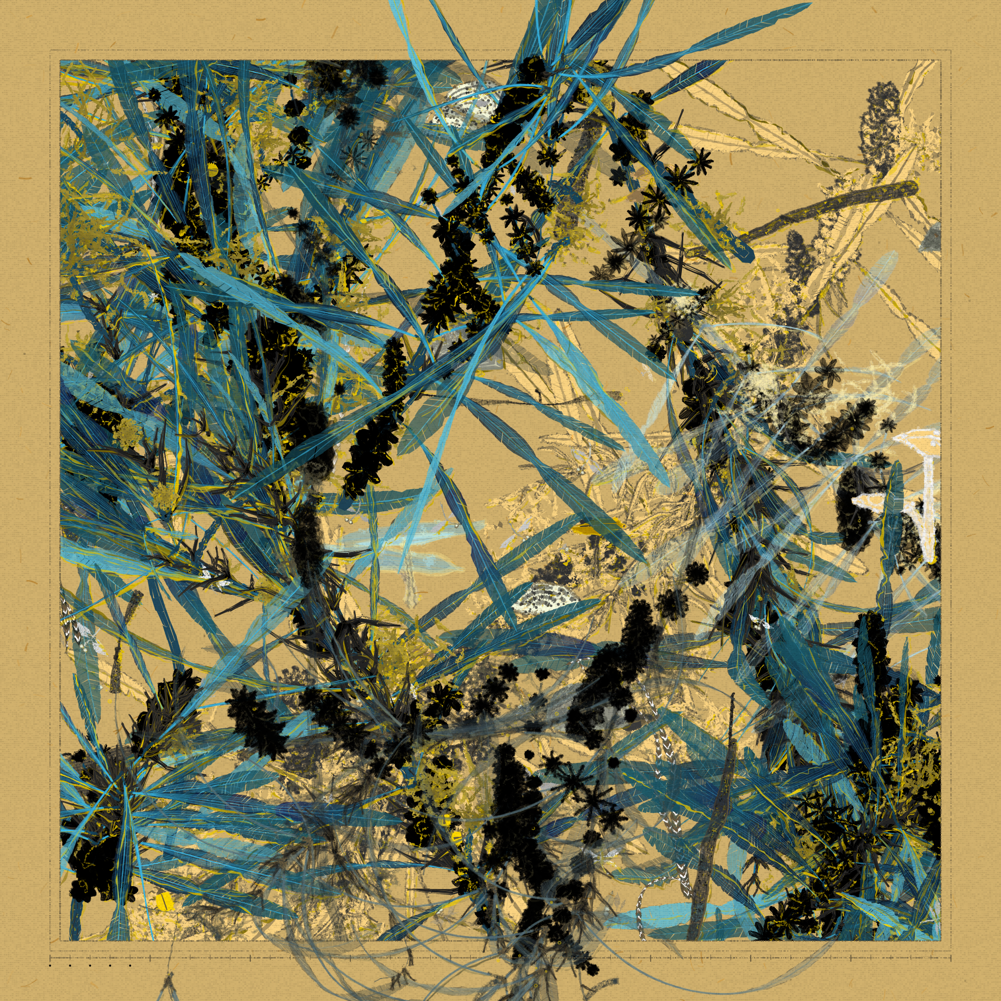 Polypaths | 植徑集 #360