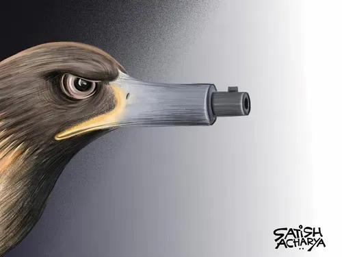 Hawks n Guns