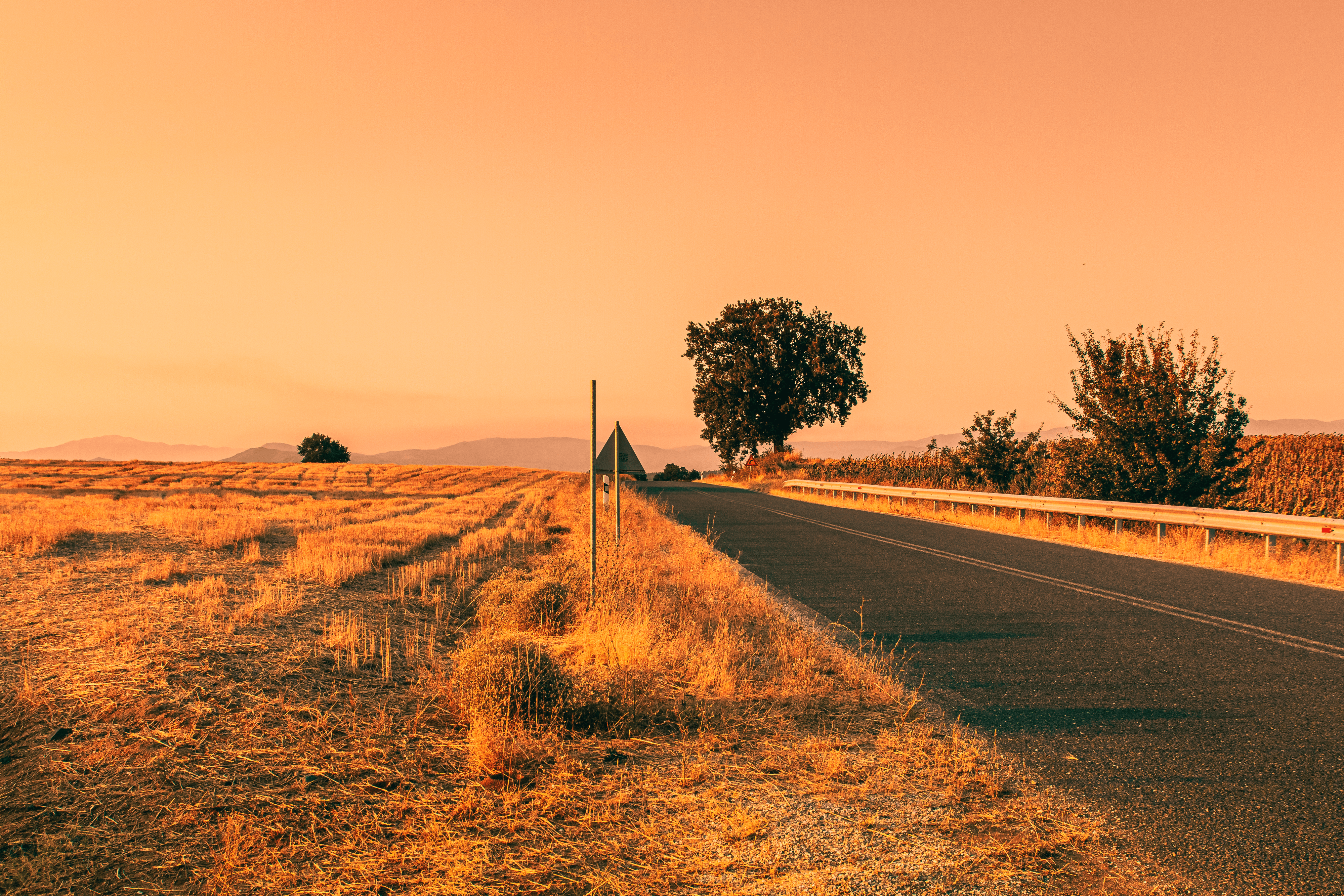 #020 Road to Nowhere