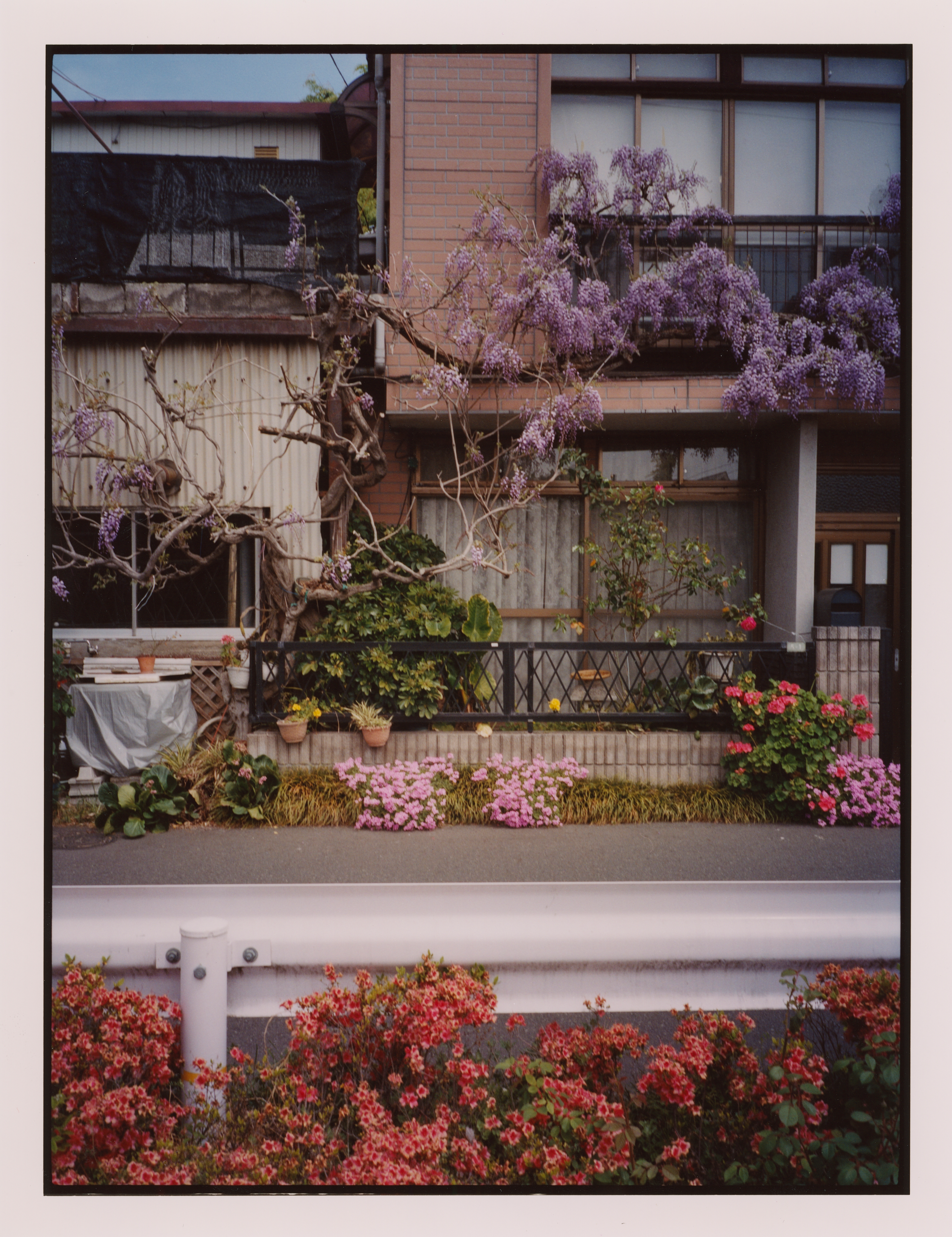 #41 - Japan Diaries - Javier Castan