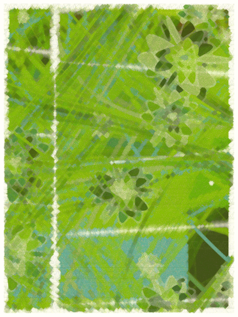 SKY MEADOW #38