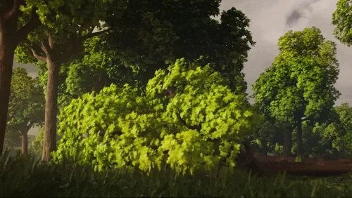 Deforestation #10470