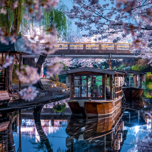 Water Mirror in Kyoto in Spring