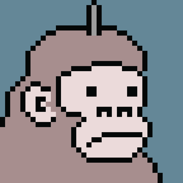 Kong Punk #06916