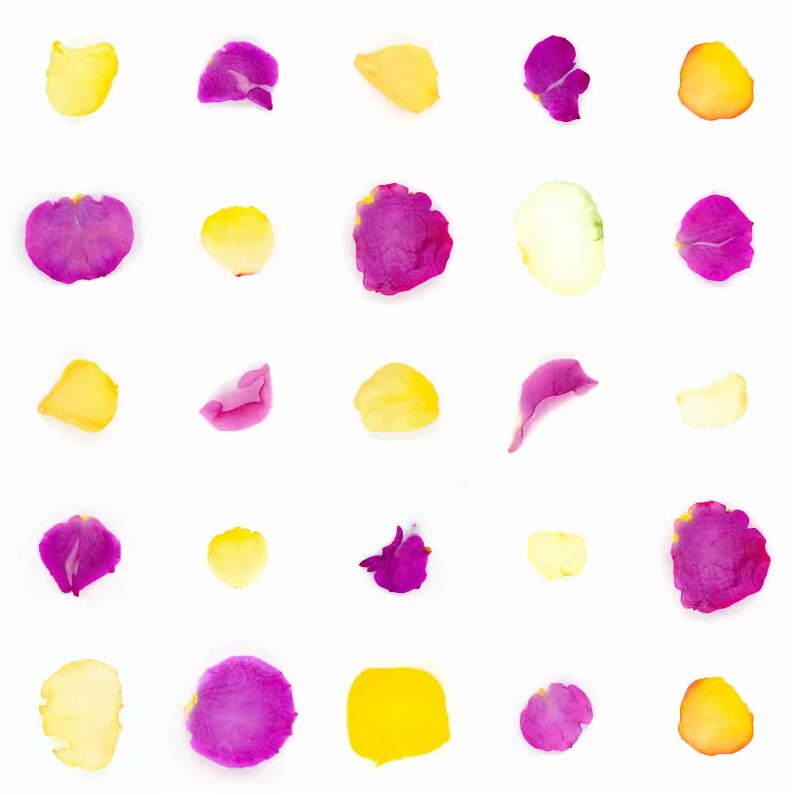 Infinite Petals 5x5#20497