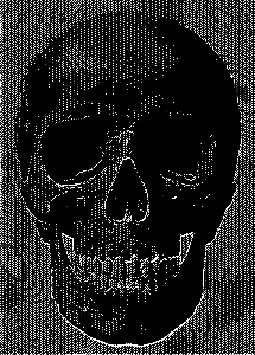 Memento Mori #397