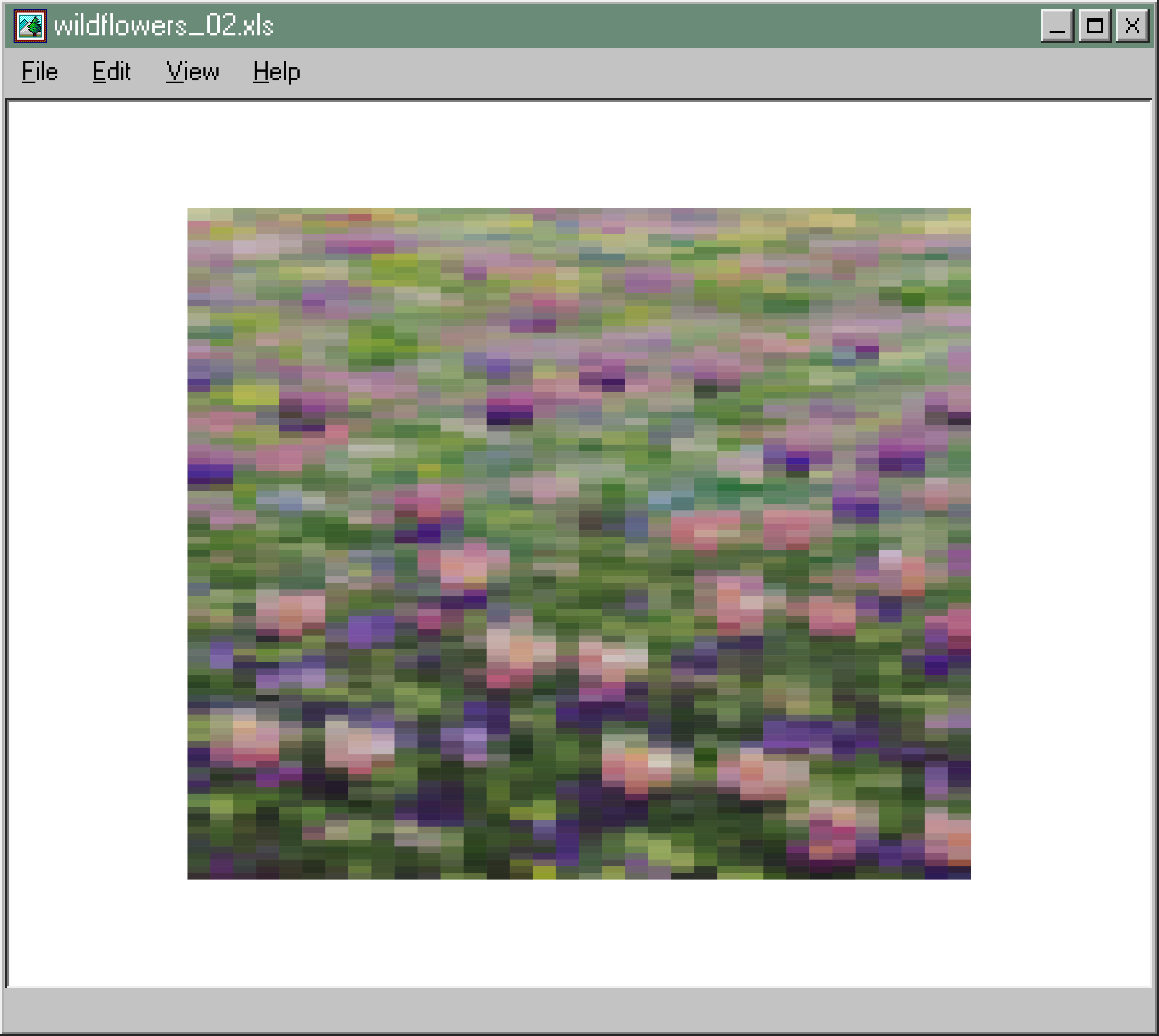wildflowers_02.xls