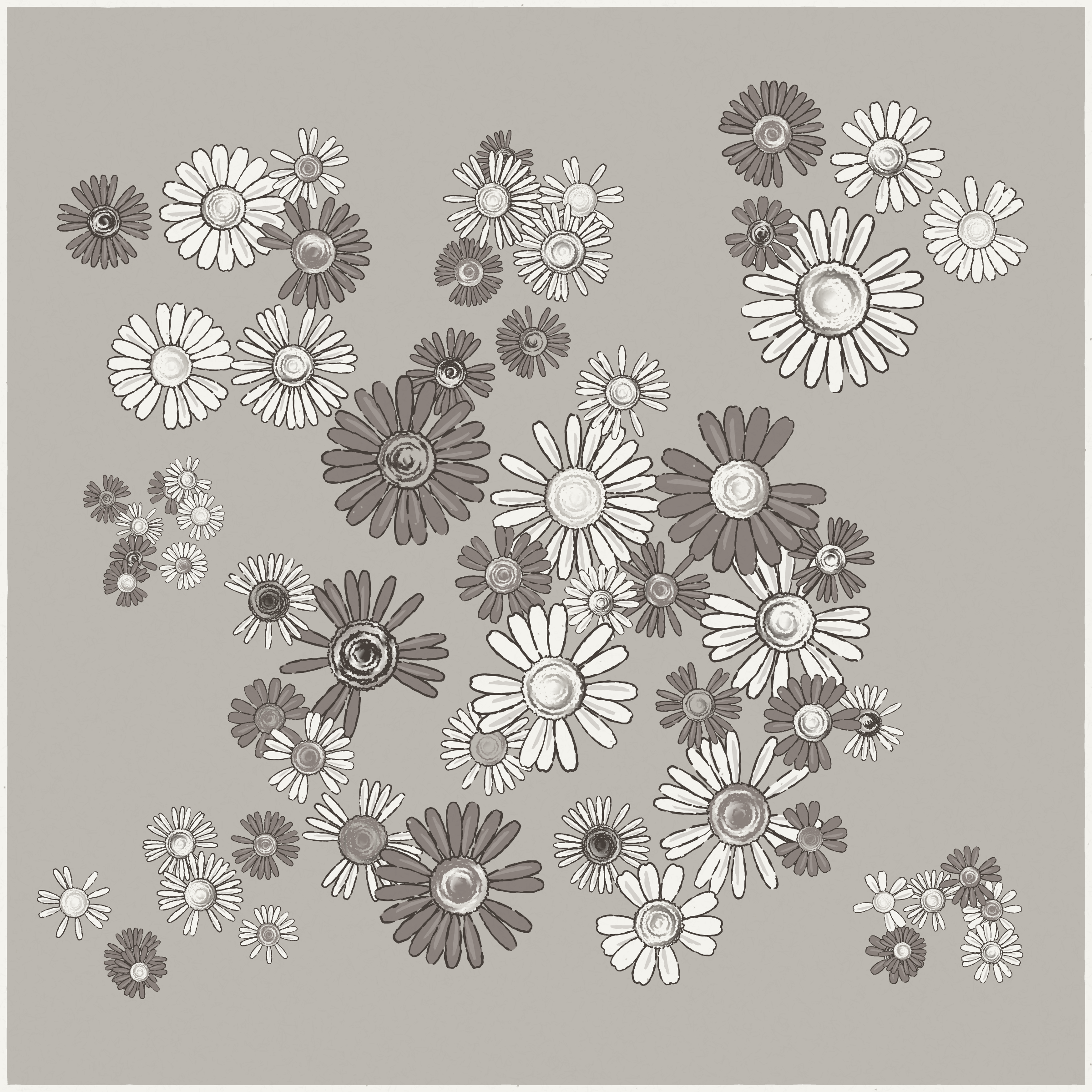 Daisies #37