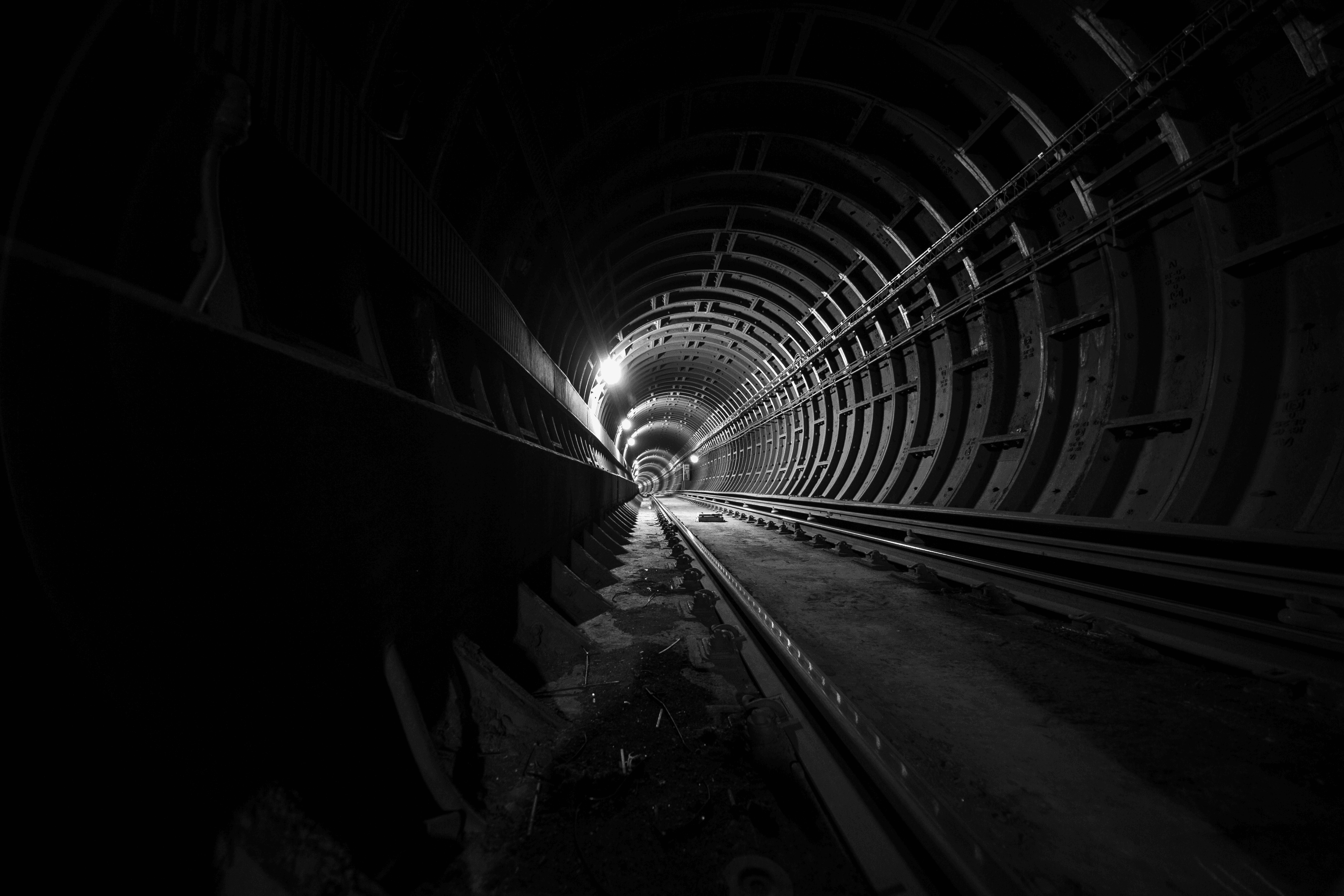 Into The Shadows