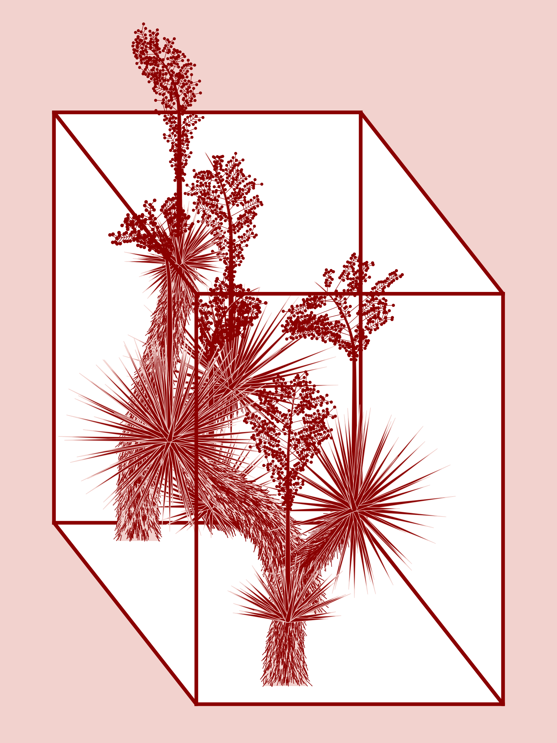 Marfa Yucca #307