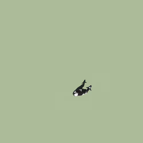 Cow (OPEN EDITION)
