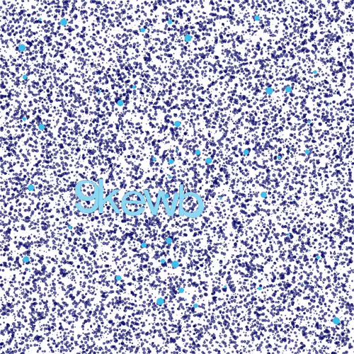 Captcha #7586