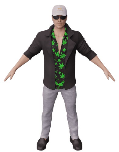 Metapals Avatar #2502