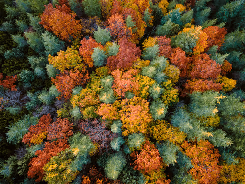 Colors of Sardinia #3
