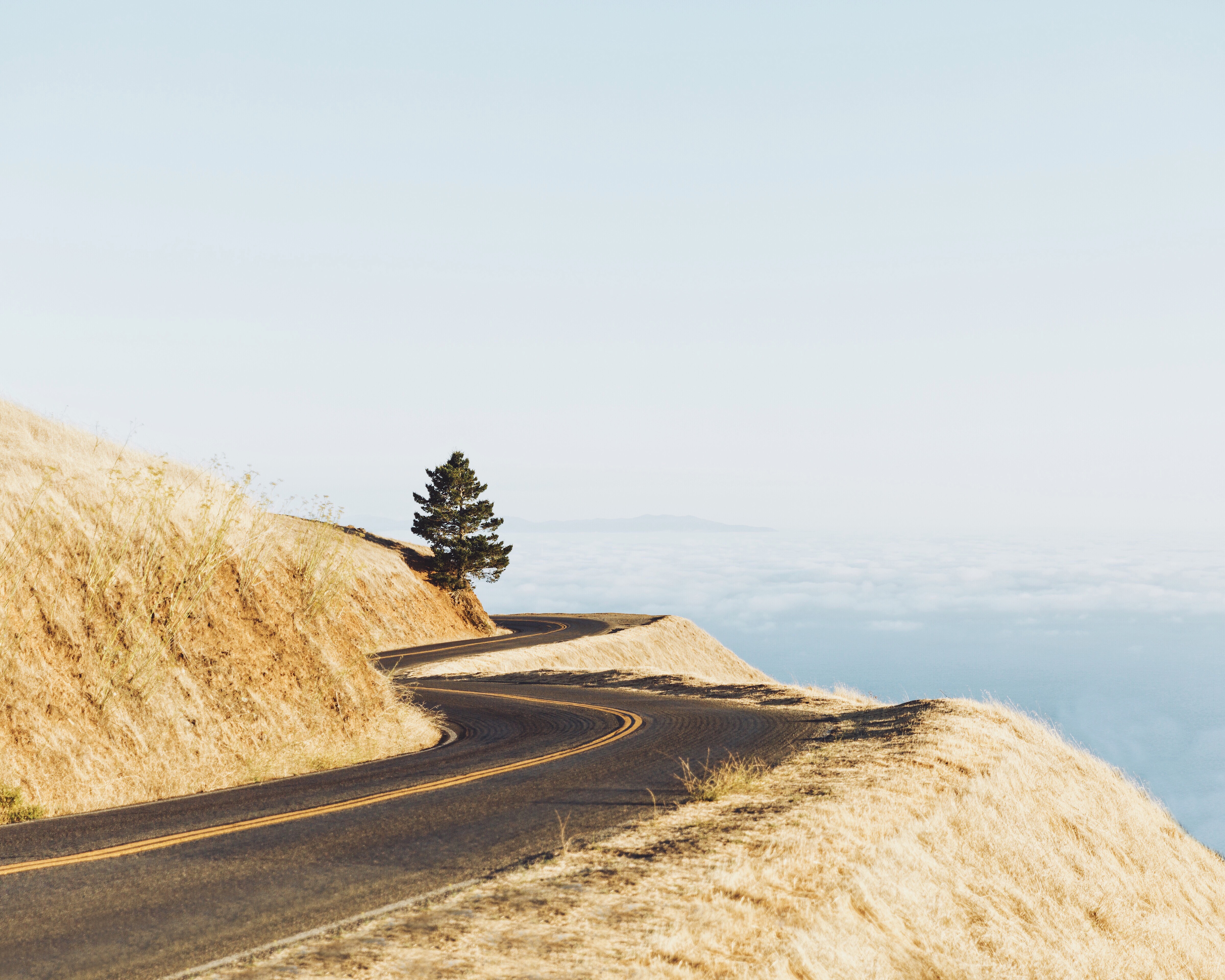 Mount Tam