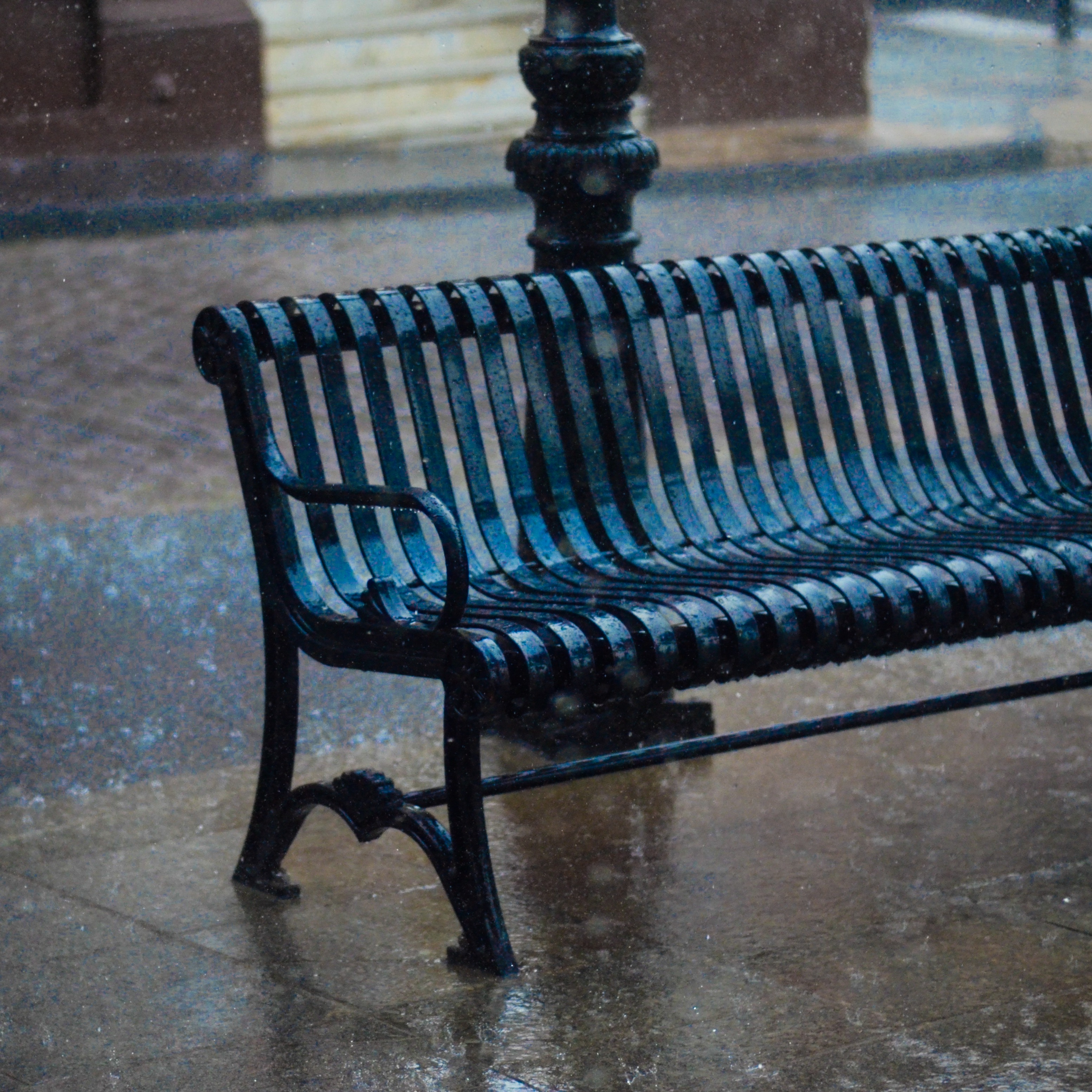 The Bench