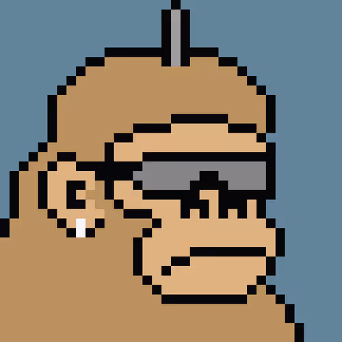 Kong Punk #06401