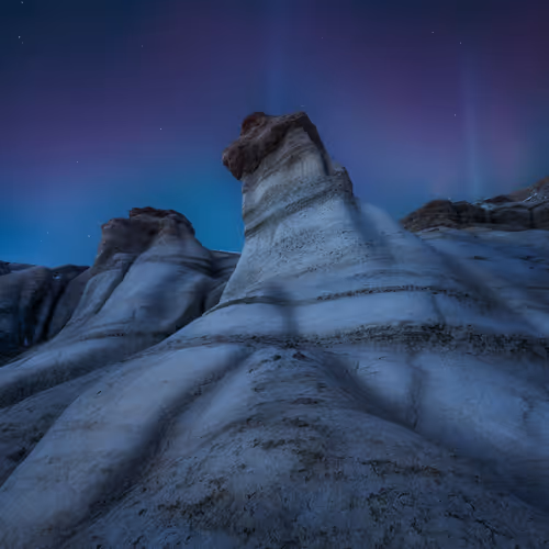 Sentinels