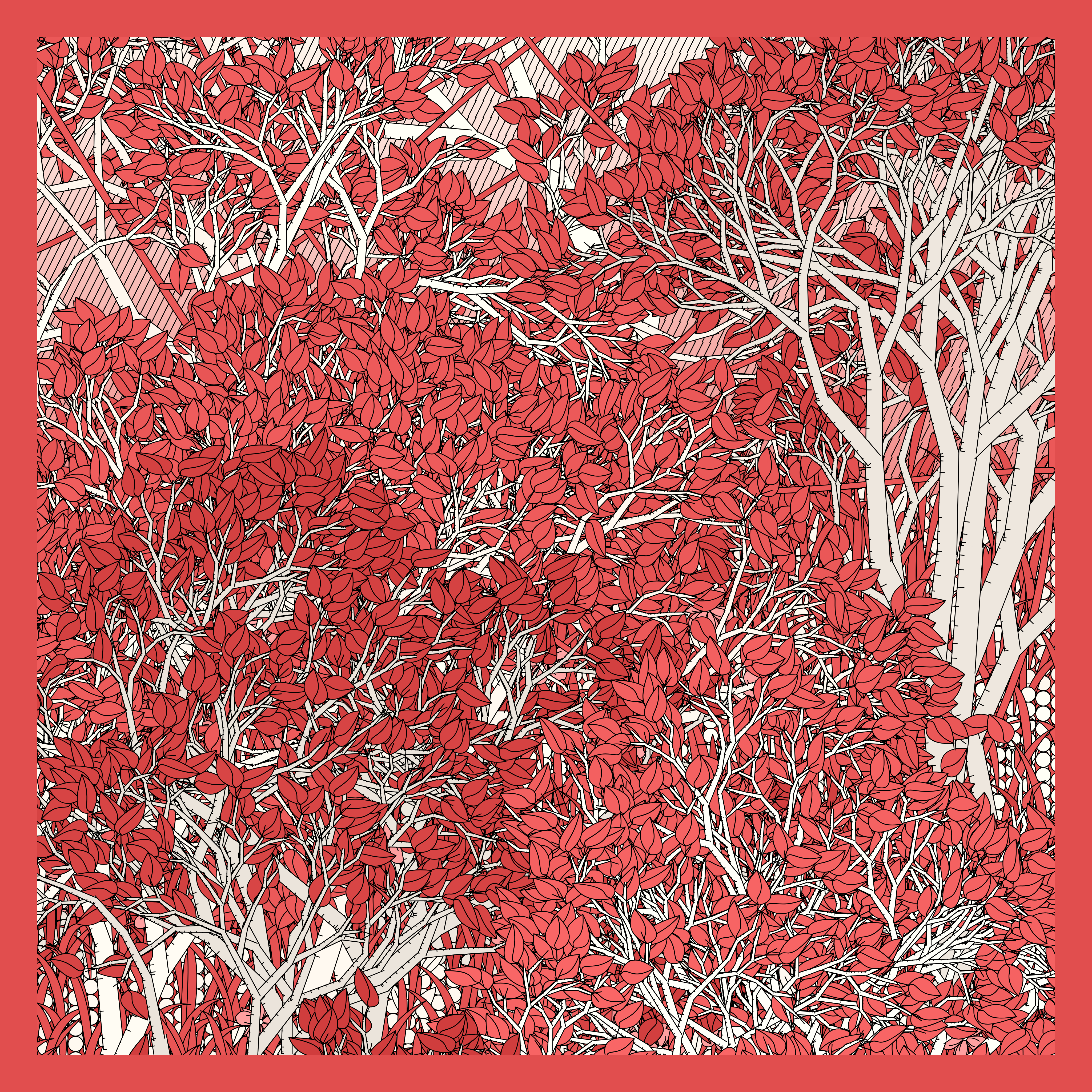 Entangled #50