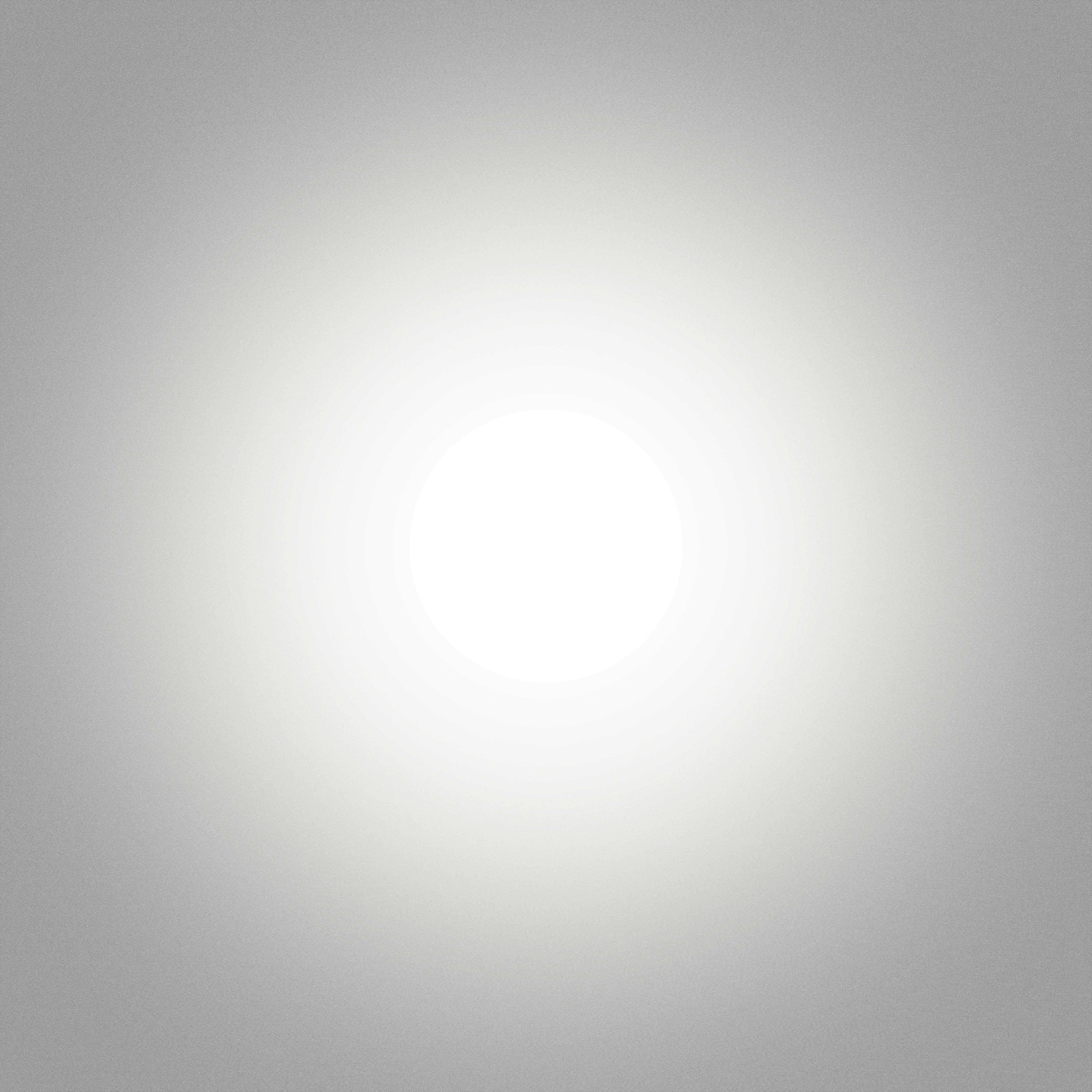 with the light 14