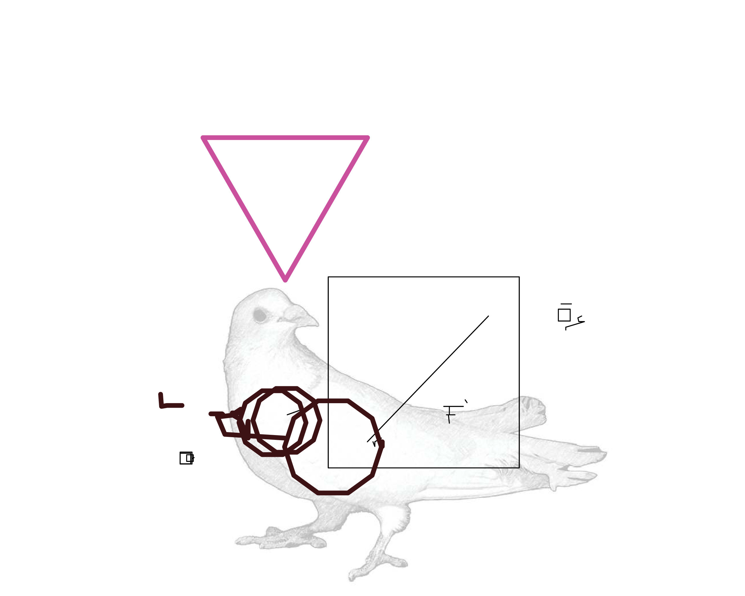 P01.094