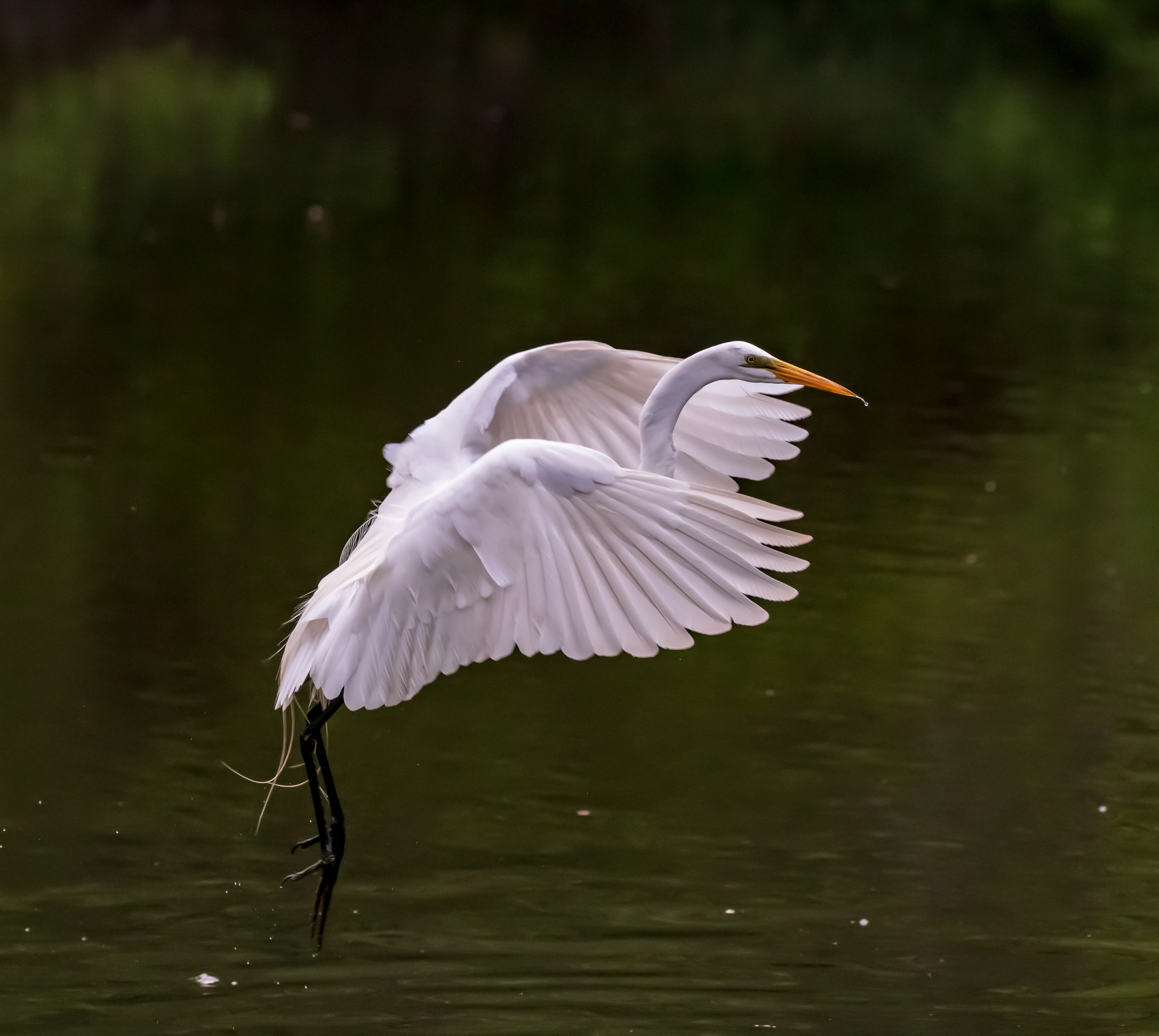 Poetry In Motion