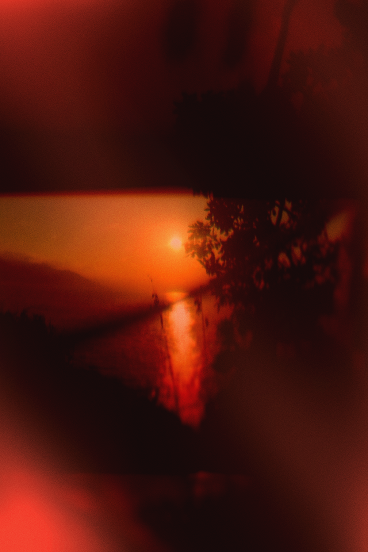 Diaries #39