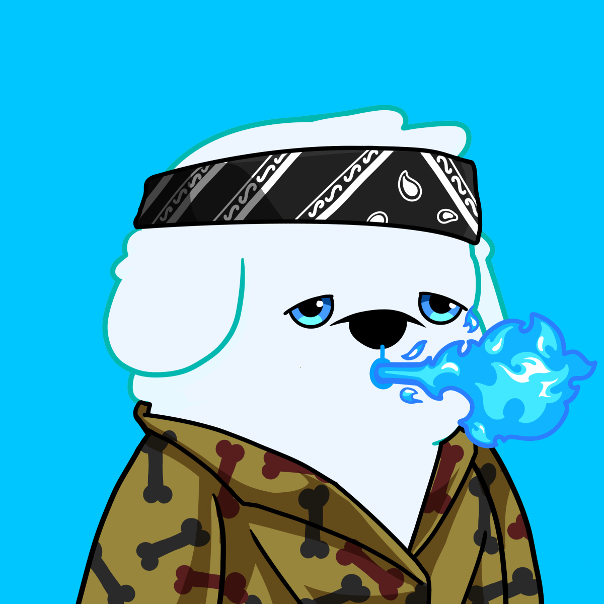 Puppy #1552
