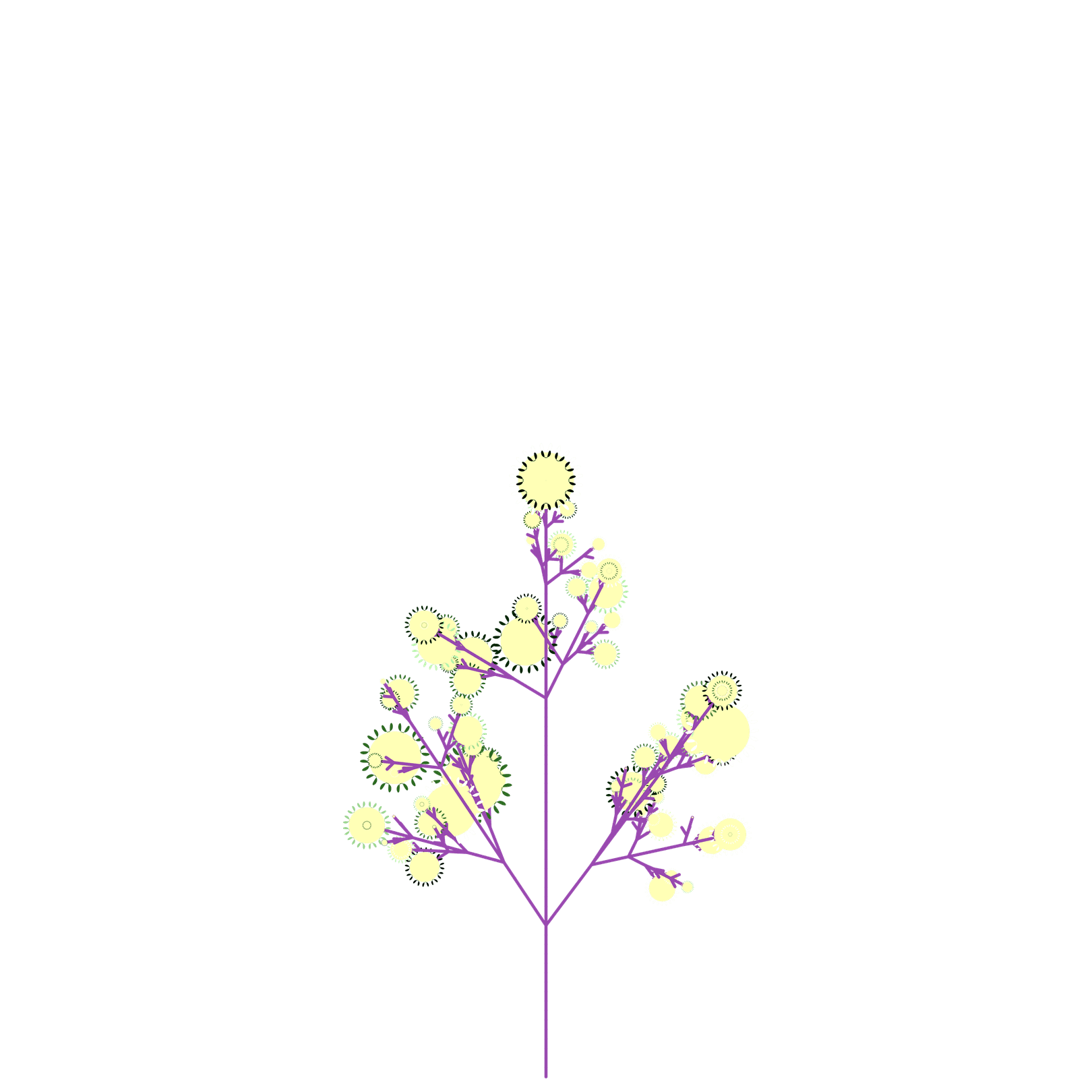 Barren Hops