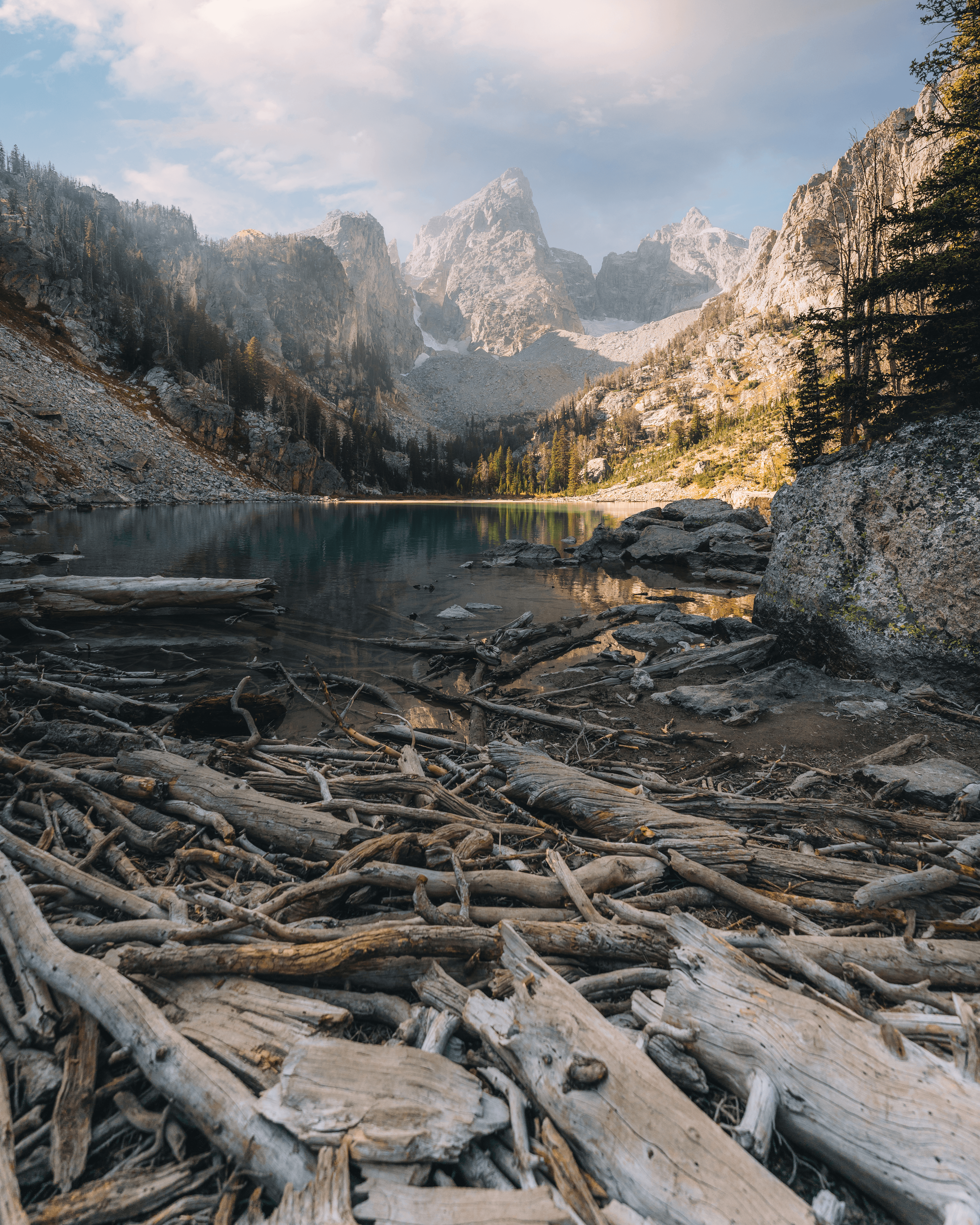 The Magnificent West #37